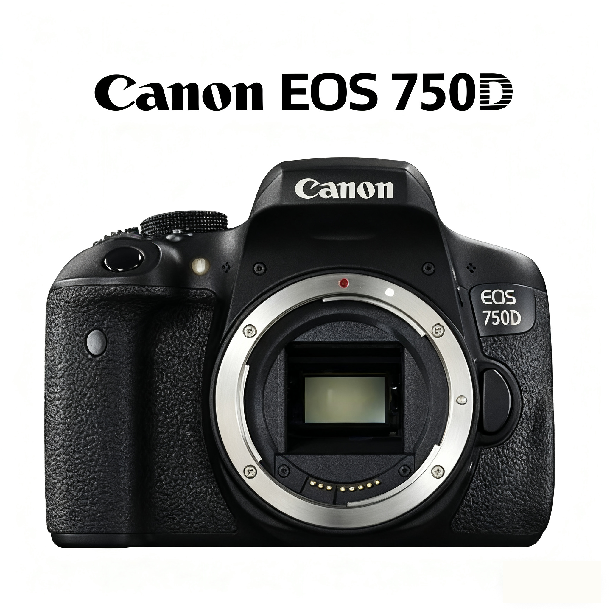 Second-Hand Canon EOS 600D / 550D / 650D / 700D / 750D / 760D – Unbeatable Prices!